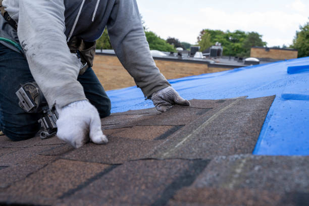 Best Metal Roofing Contractor  in Beesleys Point, NJ